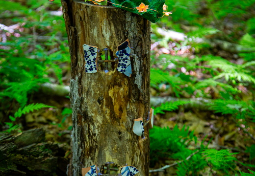 FairyColchester-5135