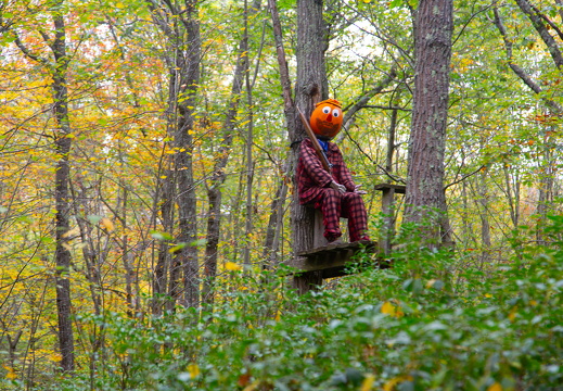 PumpkinTownUsa-5845